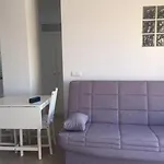 Panorama 토록스